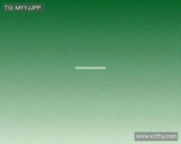 德国与挪威足球比赛赛程分析及最新动态更新